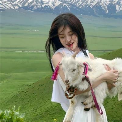 苏珊娜之家海报