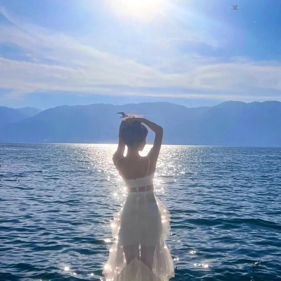 神探艳盗海报